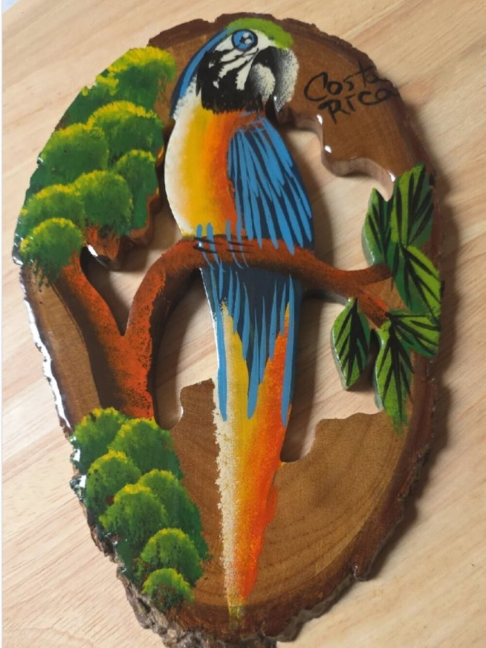 Hand-Painted Costa Rica Macaw Parrot Wood Wall Art - Blue & Orange